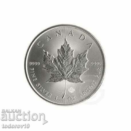 1 oz Silver Maple Leaf - 2024 with Charles III