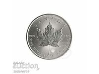 1 oz Silver Maple Leaf - 2024 with Charles III