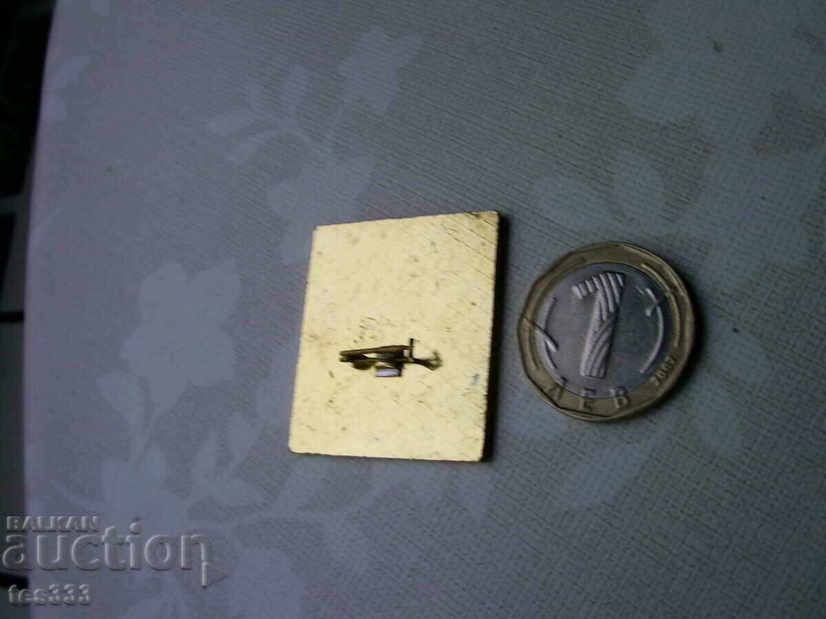 Δημοπρασία Σήμα BFS SKI Δημοπρασία Σήμα BFS SKI