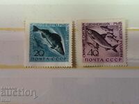 USSR Fauna Fishes 1960