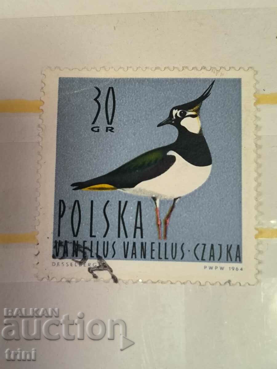 Poland Fauna Waterfowl 1964