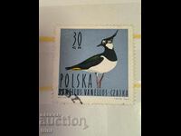 Polonia Fauna Păsări de apă 1964