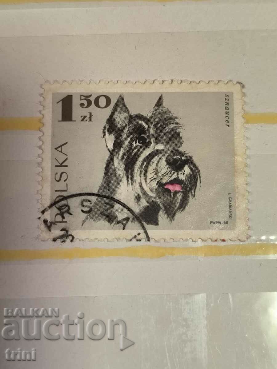 Poland Fauna Schnauzer Dogs 1969
