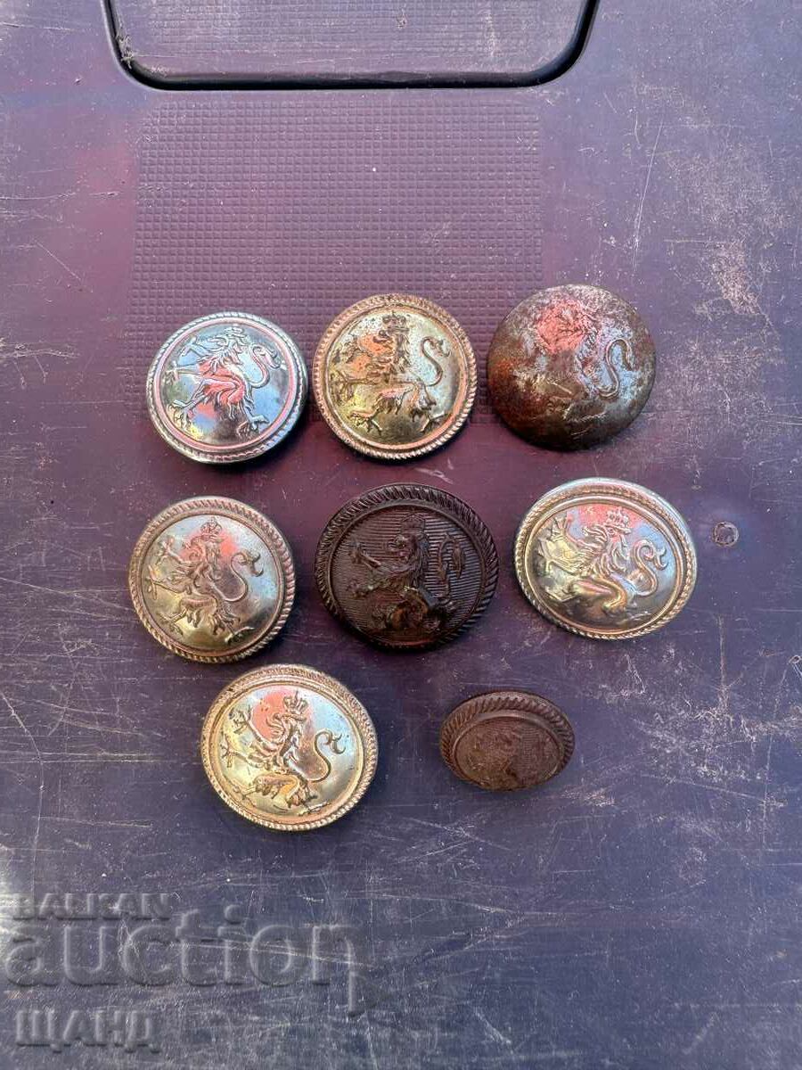Kingdom of Bulgaria 8 buttons for uniform lion with crown