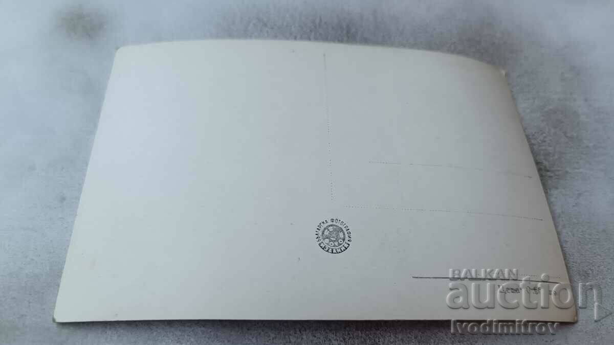 Antonella Lualdi postcard with price 1.85 BGN | € 0.95