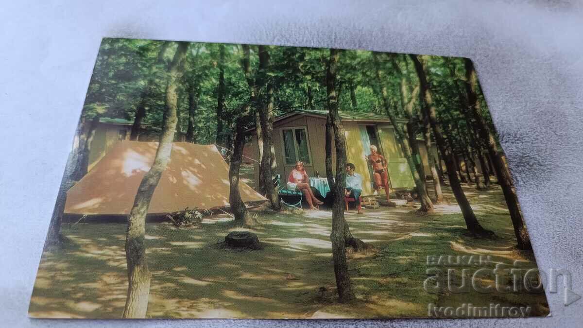 Пощенска картичка Къмпинг Пирин край река Камчия 1973
