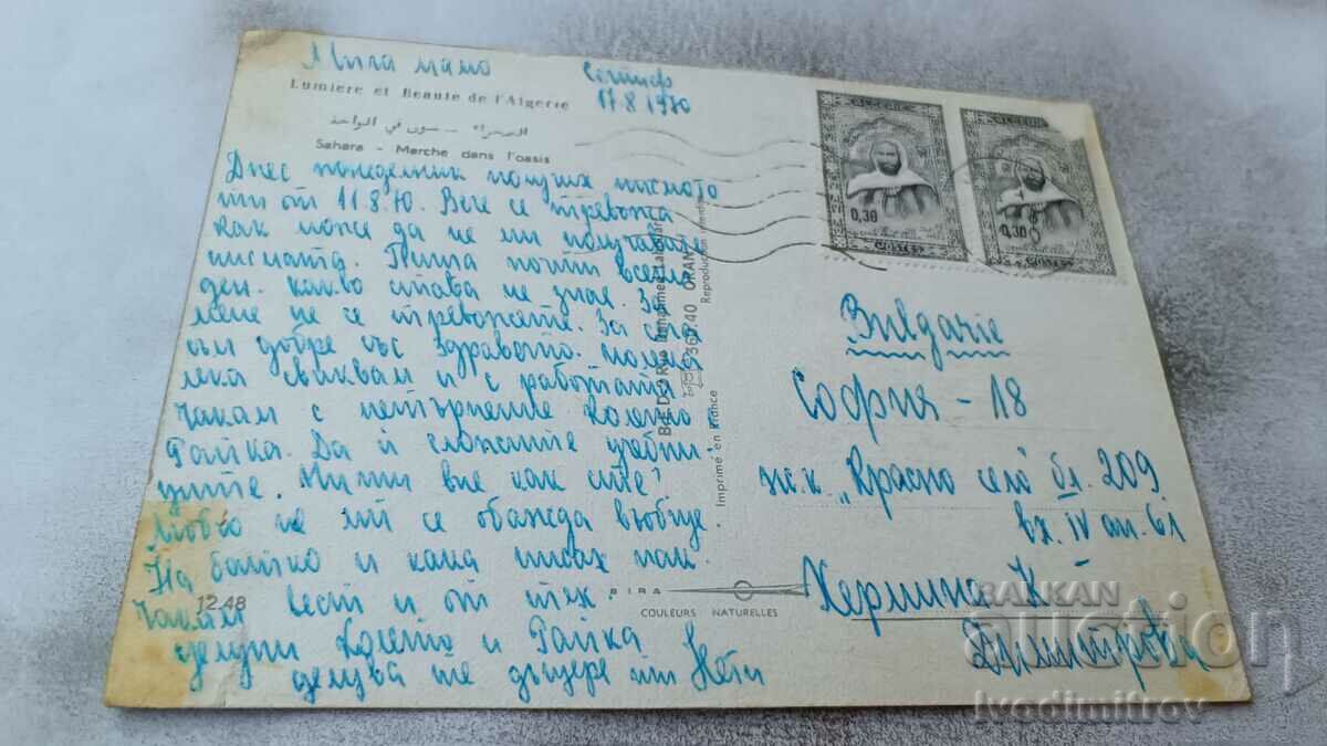 Postcard Sahara Marche dans I'oasis 1970 with price 0.95 BGN | € 0.49 Postcard Sahara Marche dans I'oasis 1970 with price 0.95 BGN | € 0.49
