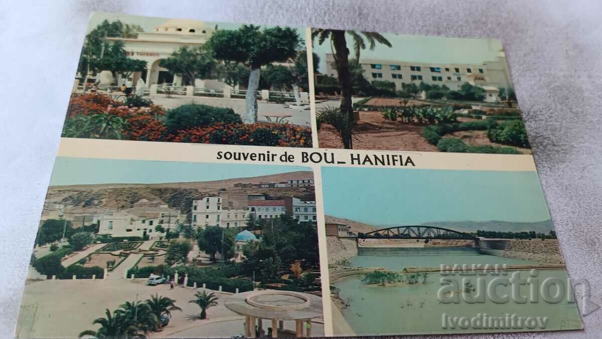 Postcard Souvenir de Bou_Hanifia Collage