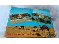 Postcard Souvenir de Bechar