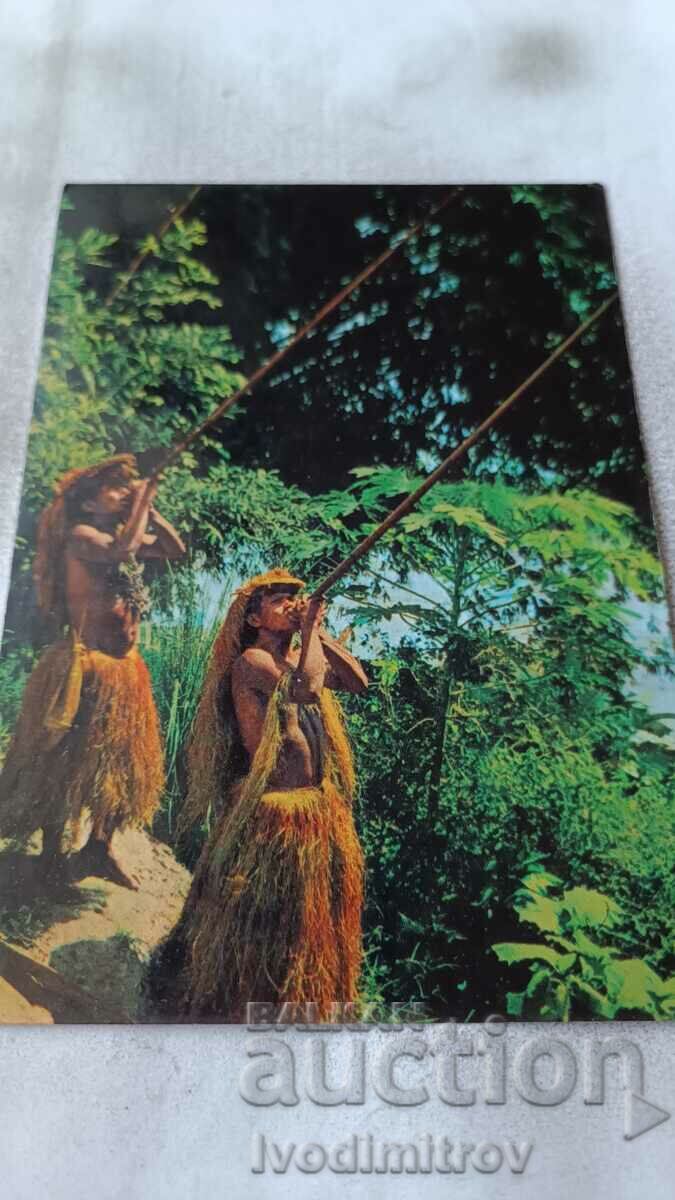 P K Selva des Amazonas Cazadores con Cervatana