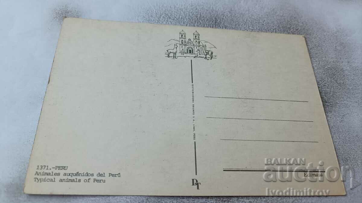 Postcard Typical Animals of Peru with price 0.85 BGN | € 0.43 Postcard Typical Animals of Peru with price 0.85 BGN | € 0.43