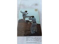 Καρτ ποστάλ Serie Karate Mawashi-Tobi-Geri
