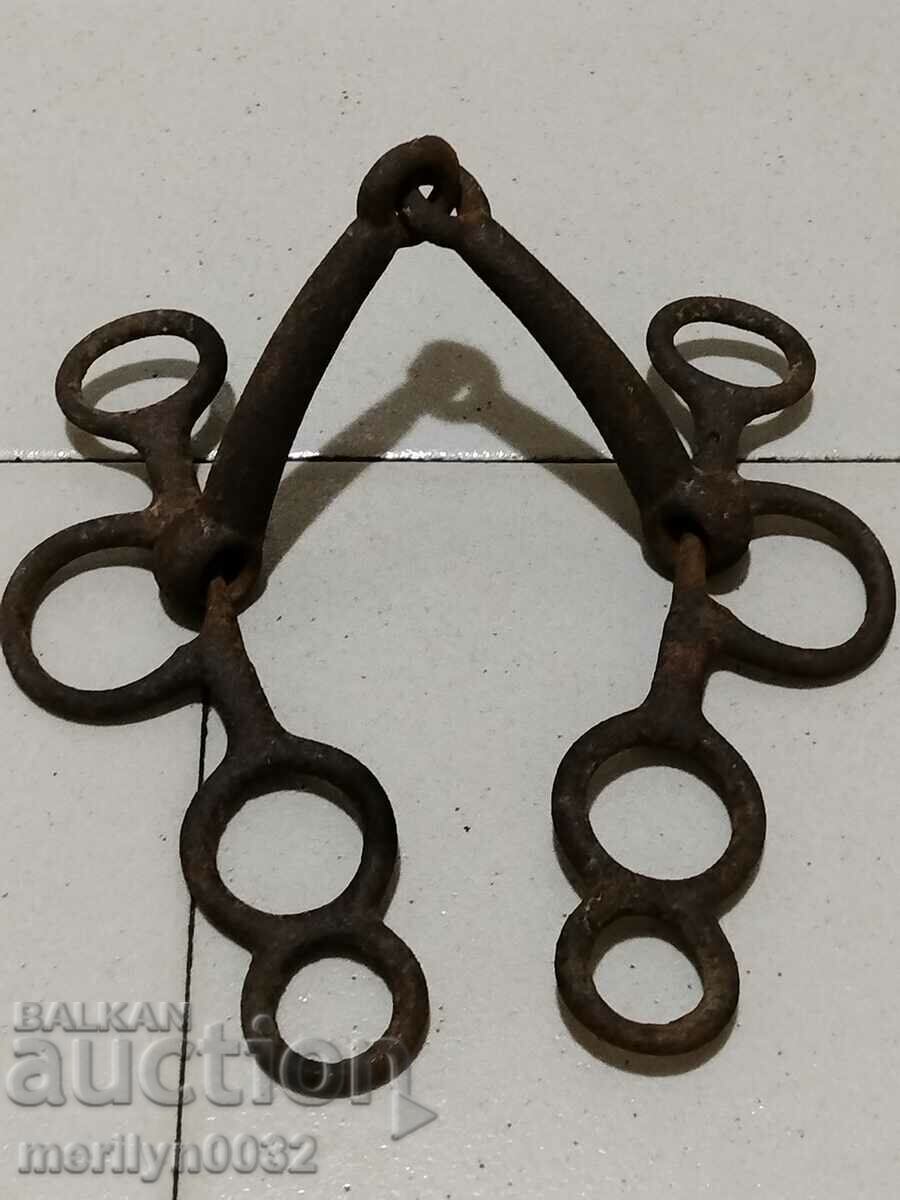 Auction  Old wrought bridle bridle wrought iron, harness
