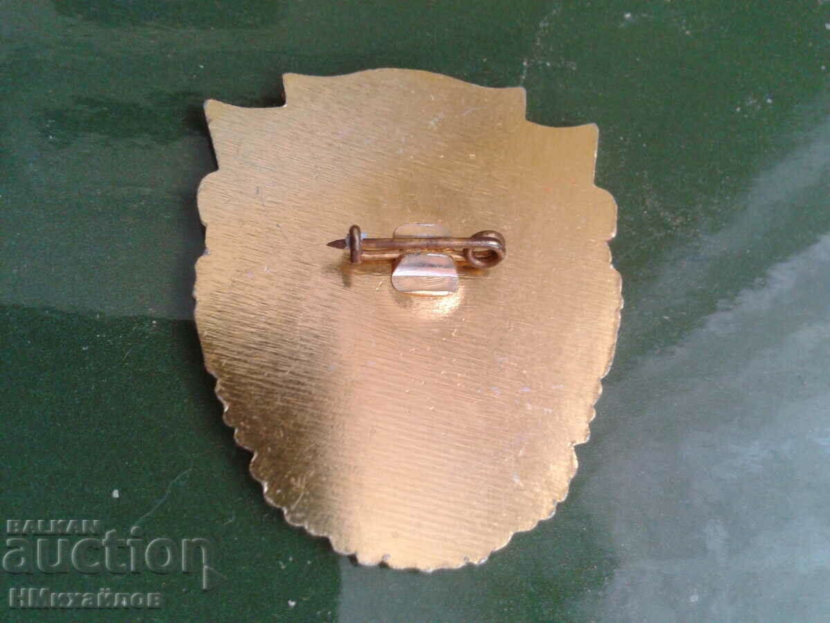 Delivery of Badge - Read the description. Delivery of Badge - Read the description.