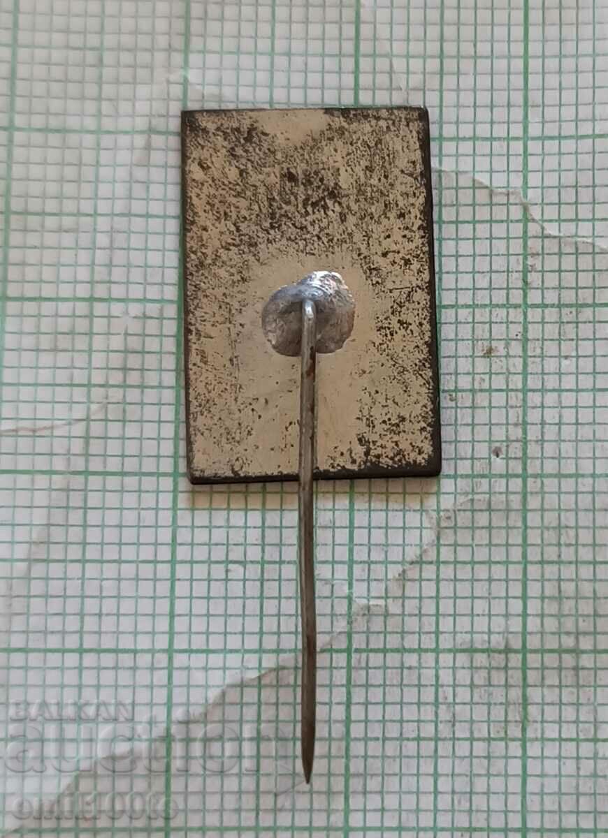 Delivery of Badge - Olympic flame BSFS Plovdiv Delivery of Badge - Olympic flame BSFS Plovdiv