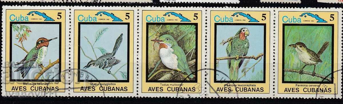 CUBA RIBBON 5 PIECES - BIRDS