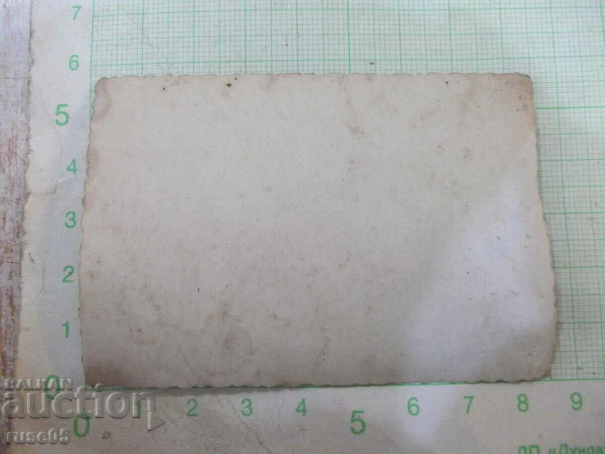 Photo of a group of children on an outing with price 1.00 BGN | € 0.51 Photo of a group of children on an outing with price 1.00 BGN | € 0.51