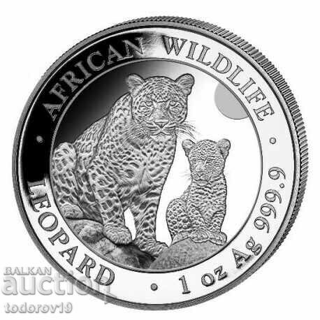 1 oz Silver Leopard - Somalia 2024 - African Wildlife