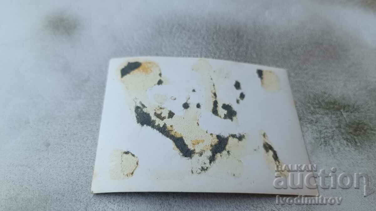 Photo Young man in a swimsuit on the beach with price 2.35 BGN | € 1.20 Photo Young man in a swimsuit on the beach with price 2.35 BGN | € 1.20