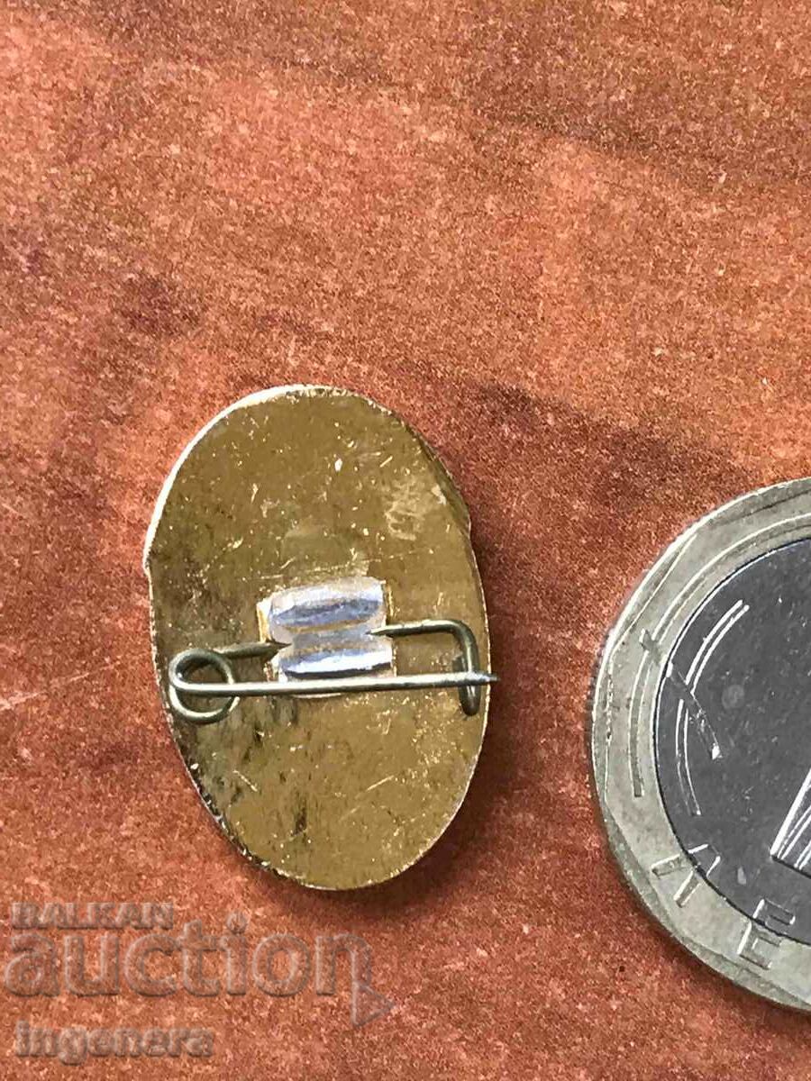 Аукцион ЗНАЧКА - ПАНАГЮРИЩЕ Аукцион ЗНАЧКА - ПАНАГЮРИЩЕ