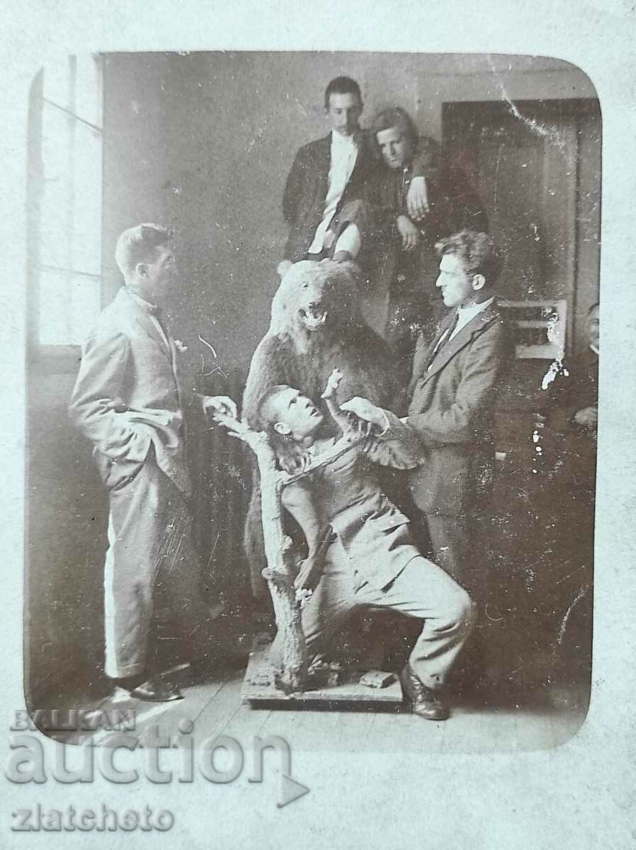 Delivery of Lot of two old photos Kingdom of Bulgaria with stuffed bear