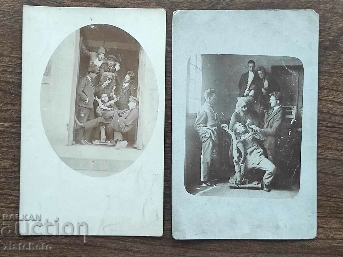 Lot of two old photos Kingdom of Bulgaria with stuffed bear