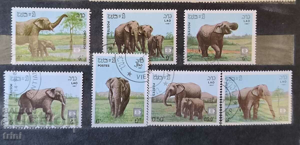 Laos Fauna Elephants 1987