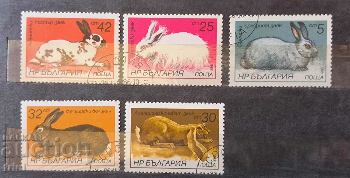 Bulgaria Fauna Rabbits 1986