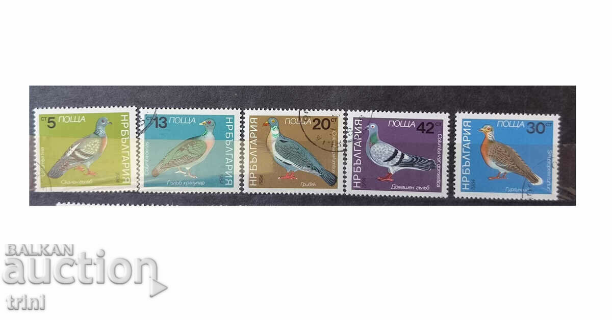 Bulgaria Fauna Birds Pigeons 1984