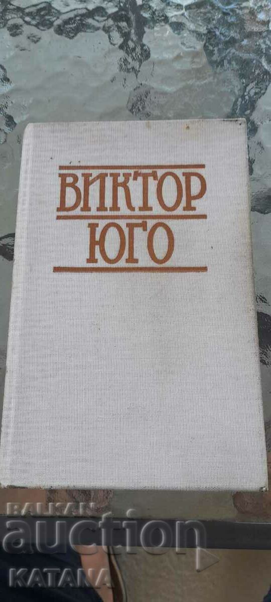 Виктори Юго - парижката света богородица