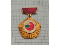 URSS-NRB CONSTRUCȚIE PENTRU MUNCĂ FOARTE BUNĂ insignă