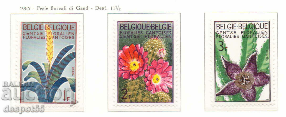 1965. Belgia. Expoziție de flori la Gent.