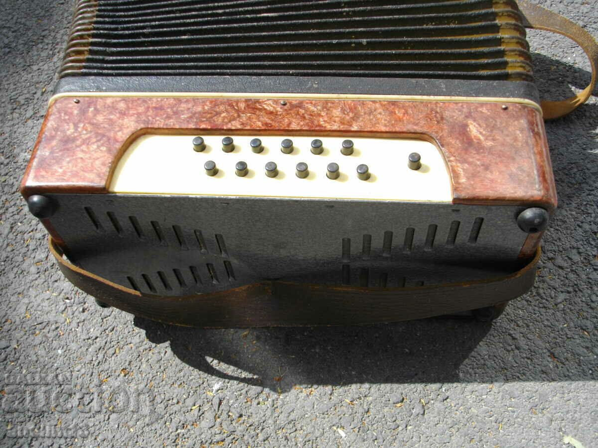 Delivery of ACCORDION HARMONICA CHAMOMILE Delivery of ACCORDION HARMONICA CHAMOMILE