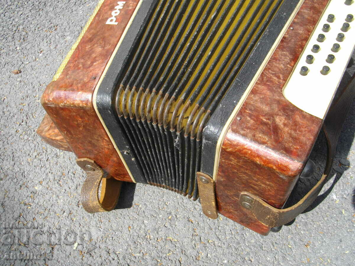 ACCORDION HARMONICA CHAMOMILE - 5 ACCORDION HARMONICA CHAMOMILE - 5