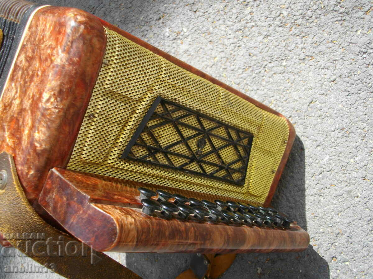 ACCORDION HARMONICA CHAMOMILE - 6 ACCORDION HARMONICA CHAMOMILE - 6