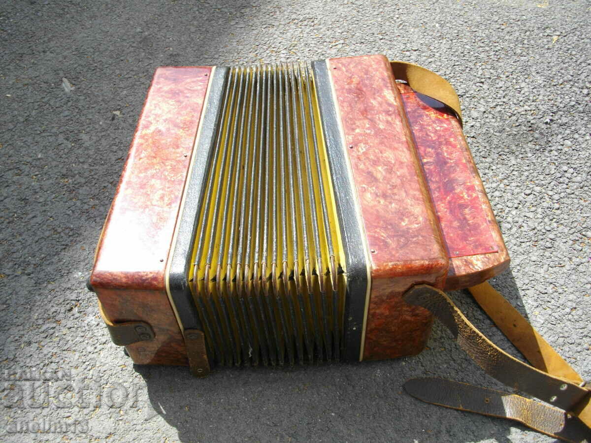 ACCORDION HARMONICA CHAMOMILE - 7 ACCORDION HARMONICA CHAMOMILE - 7