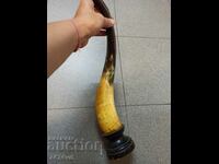 ANTIQUE LARGE HORN INTERESTING YELLOW COLOR