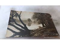 Пощенска картичка Русе Пейзаж край реката 1931
