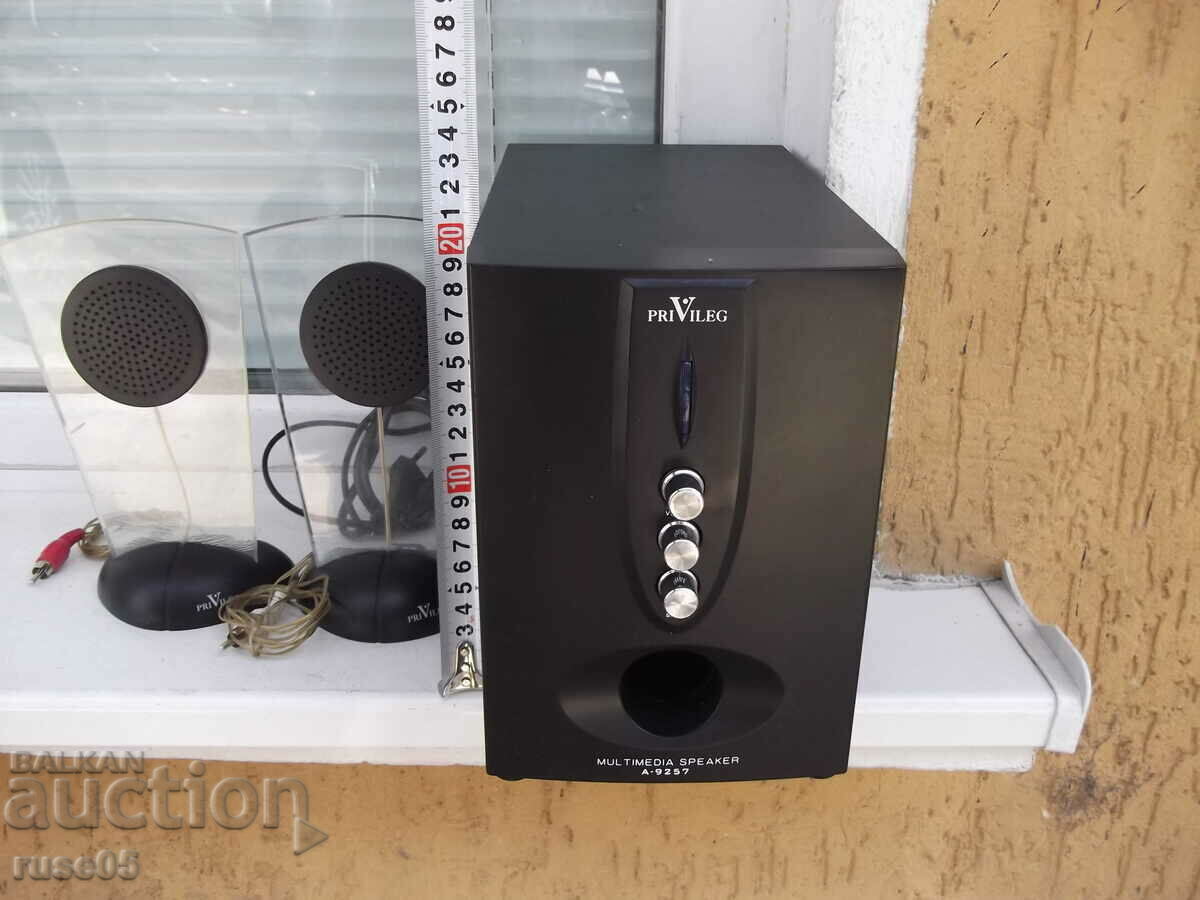 Παράδοση Το ηχοσύστημα "PRIVILEG - A-9257" λειτουργεί