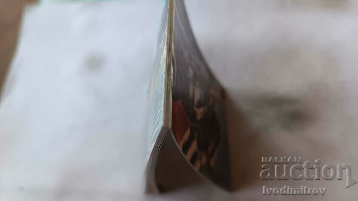 Notebook with mini cards of Vidin - 9 pieces with price 2.65 BGN | € 1.35 Notebook with mini cards of Vidin - 9 pieces with price 2.65 BGN | € 1.35