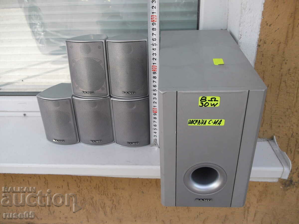Auction Audio system "SANG" working Auction Audio system "SANG" working