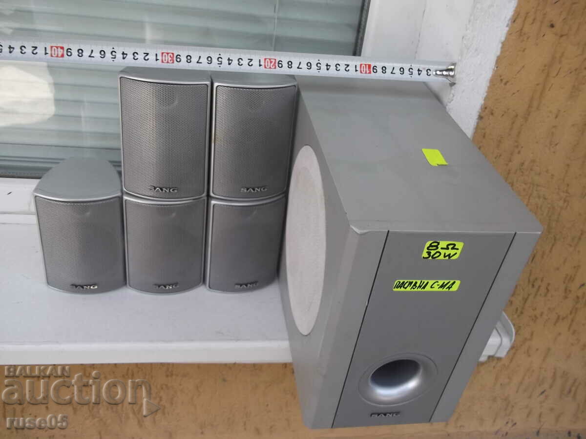 Delivery of Audio system "SANG" working Delivery of Audio system "SANG" working