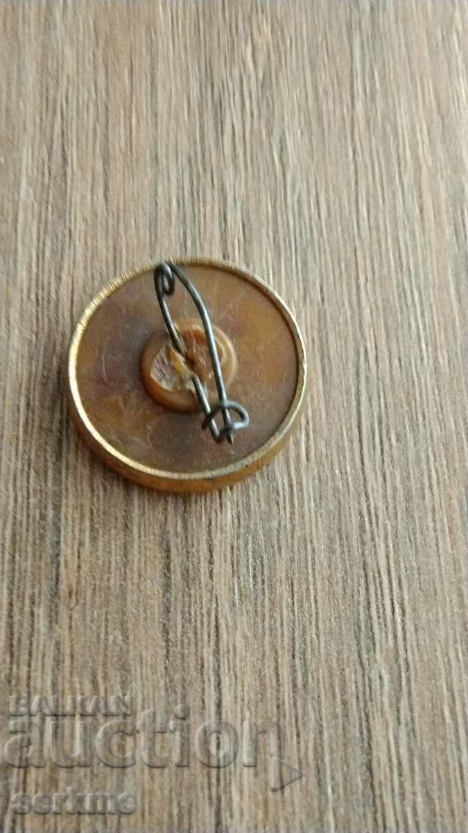 Badge with price 1.00 BGN | € 0.51