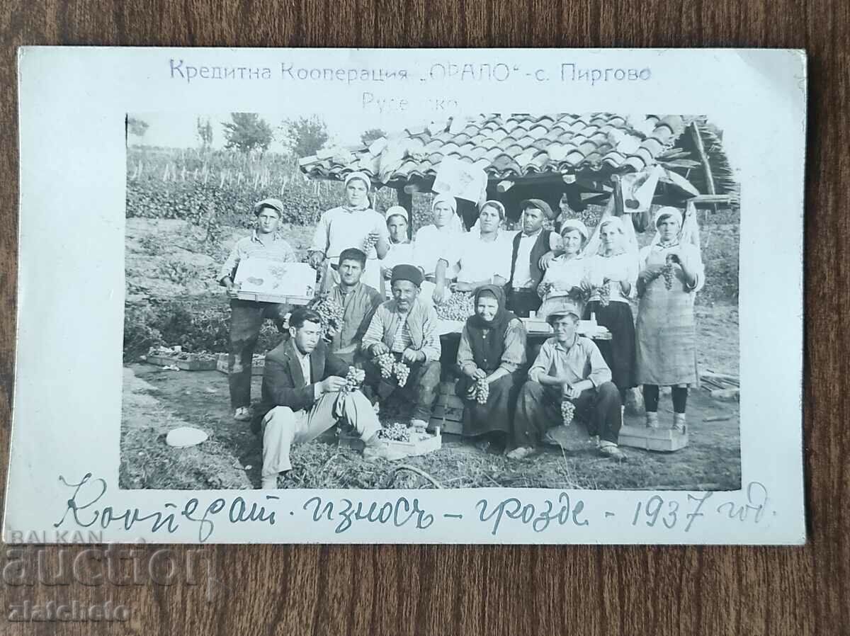 Old photo Kingdom of Bulgaria Co., Ltd. "Oralo", village of Pirgovo, Rusensko