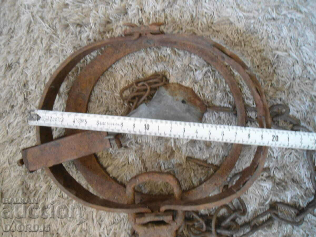 Delivery of Old big trap, muzzle, working