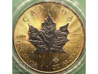 1 Oz Uncie 5 USD 2017 Elizabeth II Canada UNC PROOF Ag