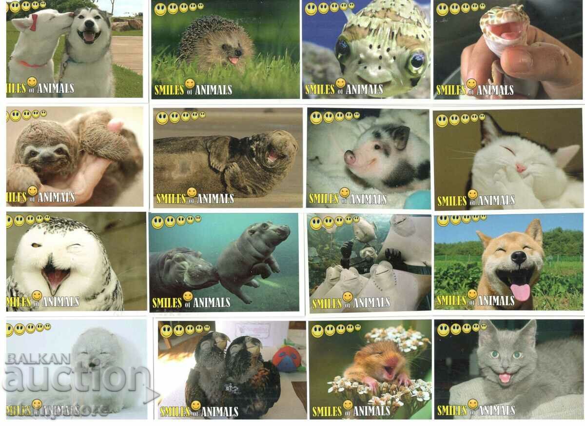 Seria de 16 calendare din 2017 - Zâmbete de animale