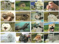 Seria de 16 calendare din 2017 - Zâmbete de animale