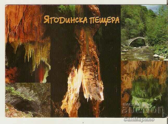 Картичка  България  Пещерата "Ягодинската пещера" 3*