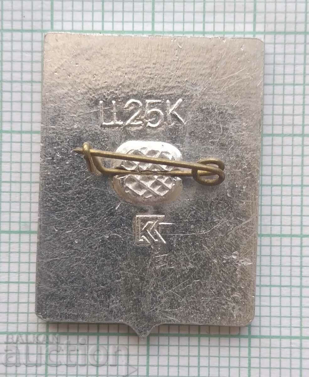 Auction 16233 Badge - USSR cities - Berdyansk Auction 16233 Badge - USSR cities - Berdyansk